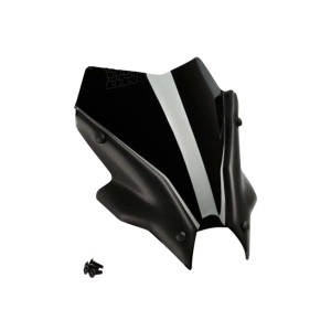 EMS WINDSHIELD MT09 V3